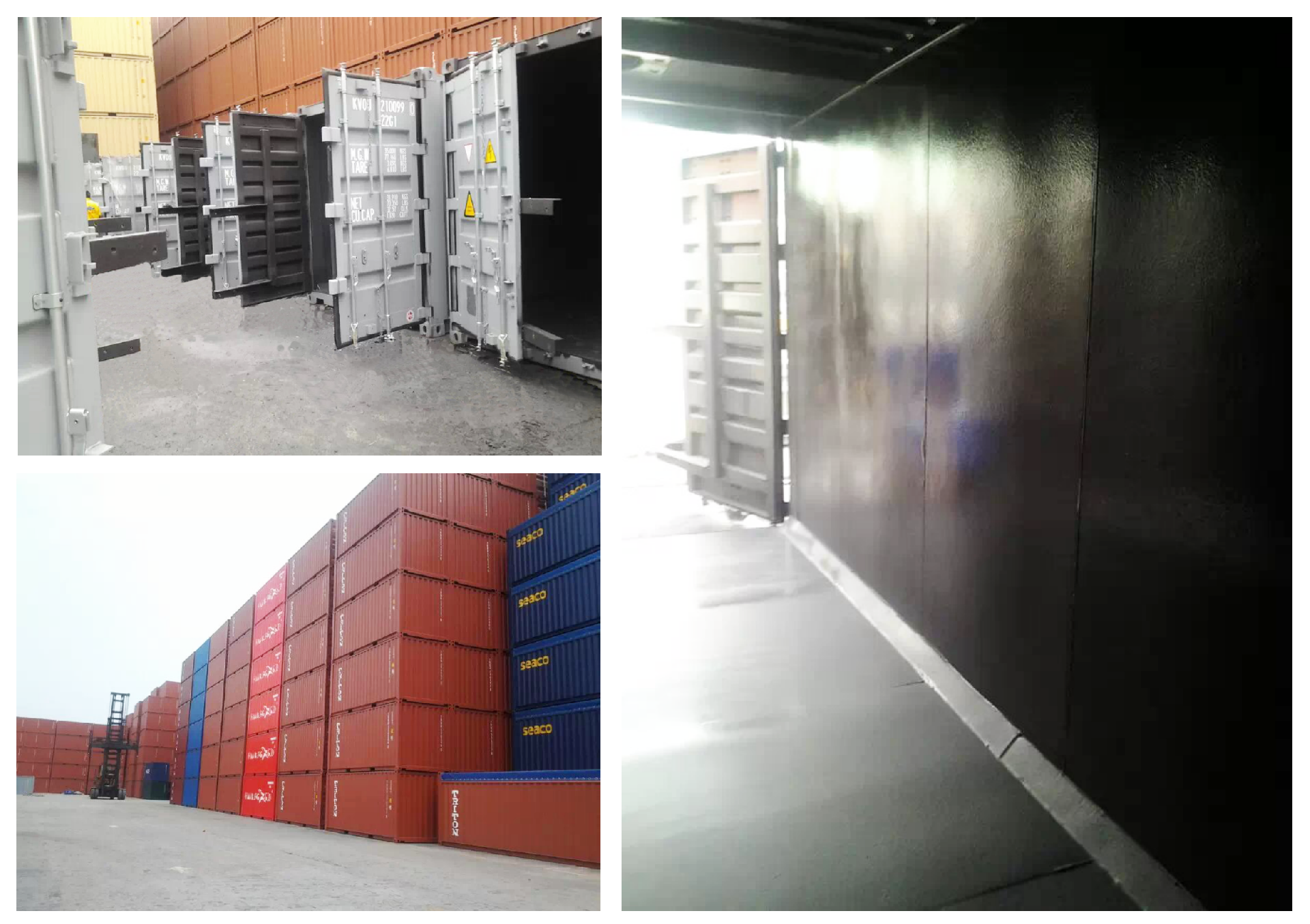 1650855416114217